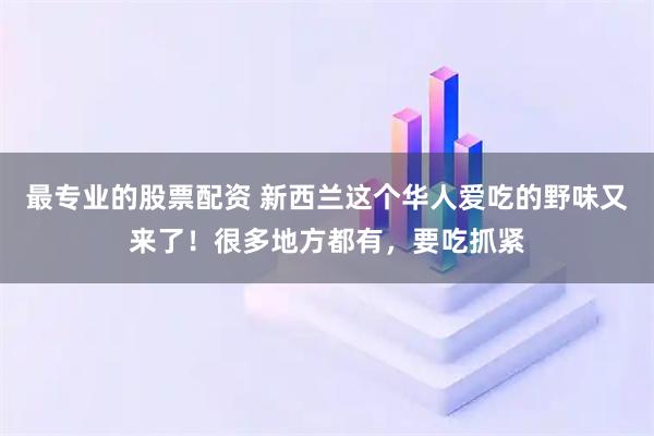 最专业的股票配资 新西兰这个华人爱吃的野味又来了！很多地方都有，要吃抓紧